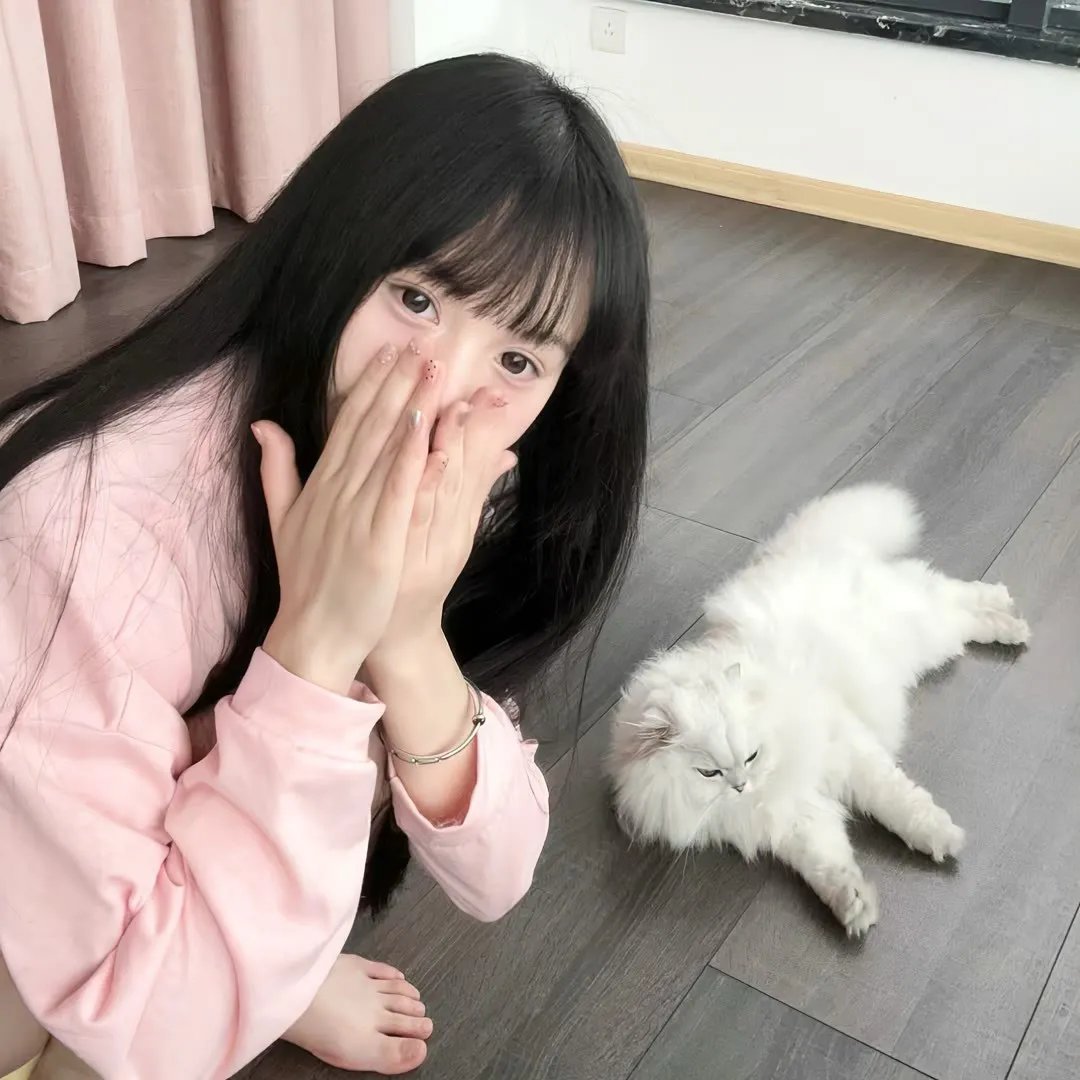 他修的不是假仙吗