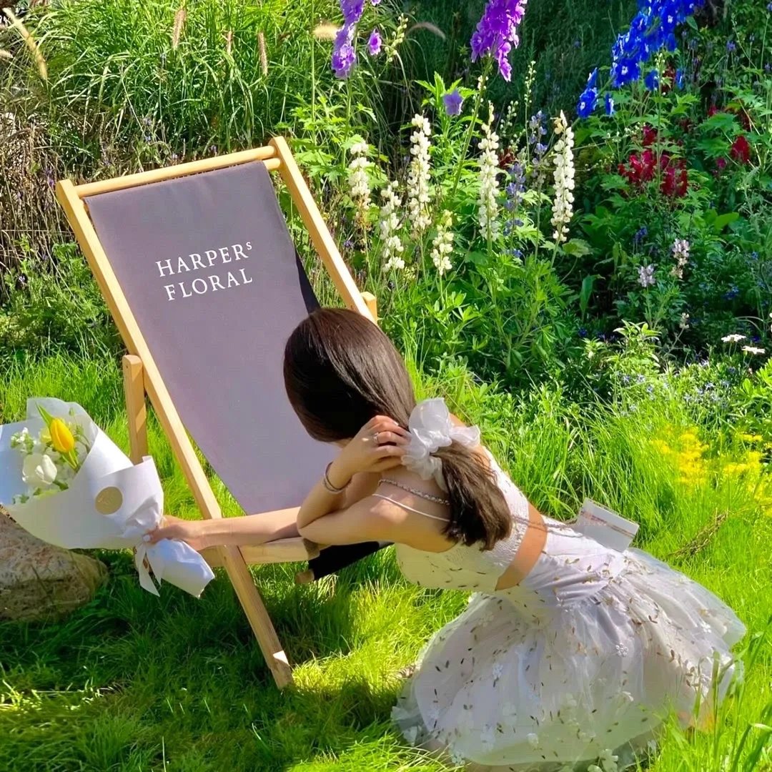 帝尊的生活只想摆烂