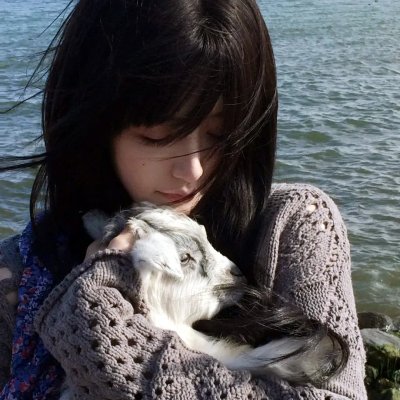 春风又绿江南岸